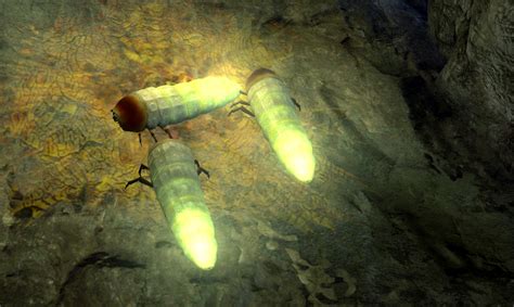 Antlion Grub | Half-Life Wiki | FANDOM powered by Wikia