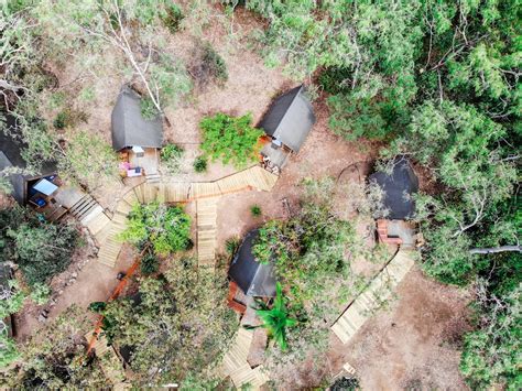 Bungalow Bay Koala Village - Queensland