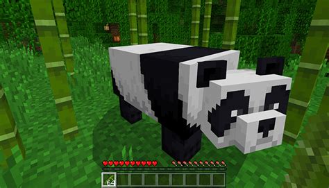 Tameable Pandas Addon | Minecraft PE Mods & Addons