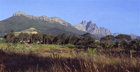 File:Marais Reserve, Stellenbosch, South Africa.jpg - Wikimedia Commons