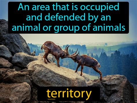 Territory Definition & Image | GameSmartz