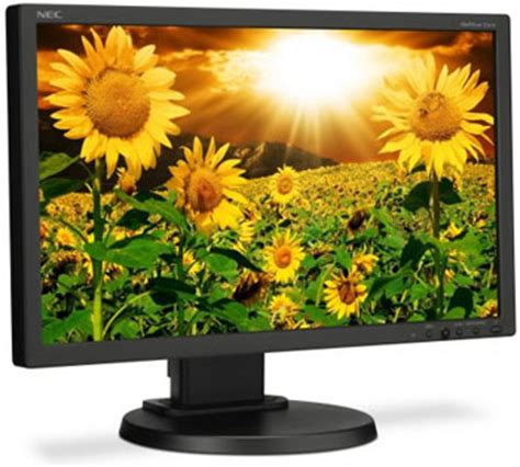 Two New LCD Monitors From NEC - HighFidelityReview - Hi-Fi systems, DVD ...