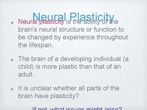 Neural Plasticity and Changes to Connections Between Neurons