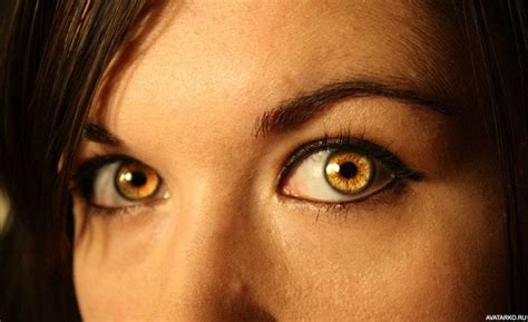 Significance and Variations of Honey Colored Eyes - Sambrown - Medium