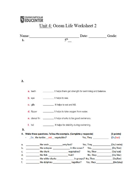 5º; Unit 4; Ocean Life Worksheet 2 | PDF