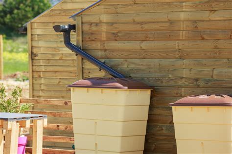 Rainwater Harvesting: A Beginner’s Guide