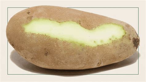 Is It OK to Eat Green Potatoes? Ask Paul | Cook's Illustrated