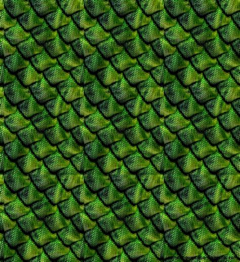 Reptile Scales Wallpaper | Amazing Wallpapers