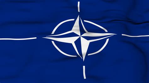 NATO Looping Flag Motion Design Stock Footage Video 243535 - Shutterstock