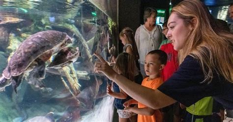 National Aquarium in Baltimore: Full Details Before You Go - Our Kids Review