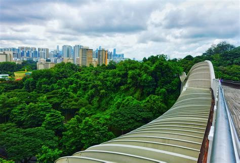 Henderson Waves Bridge Tours - Book Now | Expedia