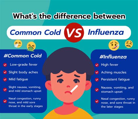 What's the difference between the flu and the common cold? | Phitsanulok Hospital | Tel : 055 ...