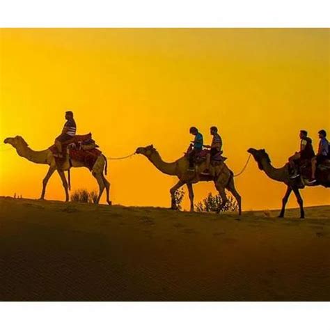 Rajasthan Desert Safari Tours at Rs 13700/person in Prayagraj | ID: 22705835630