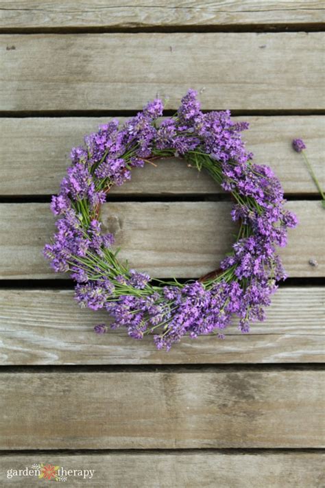 DIY Lavender Wreath That Dries Beautifully! - Garden Therapy