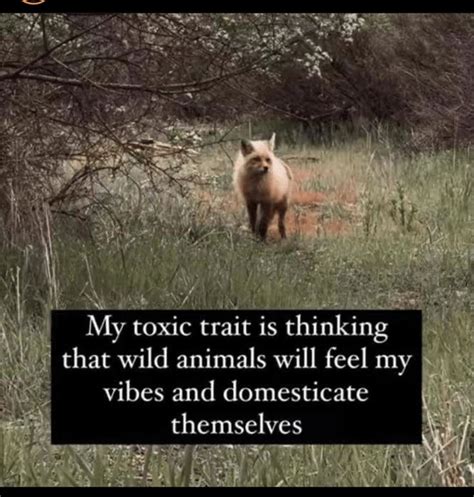 an animal that is standing in the grass with a quote on it saying, my tonic rat is thinking that ...