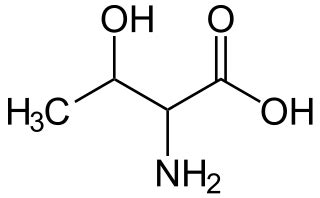 Threonine | Functions, Structure & Benefits - Lesson | Study.com