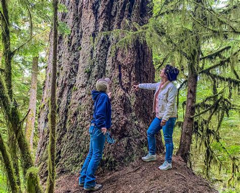 16 of the Best Oregon Hiking Trails for a Lifetime of Adventures ...