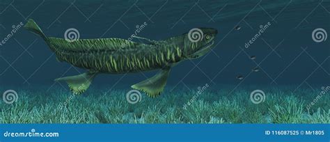 Prehistoric Shark Orthacanthus and Sea Anemones Stock Illustration - Illustration of shark ...