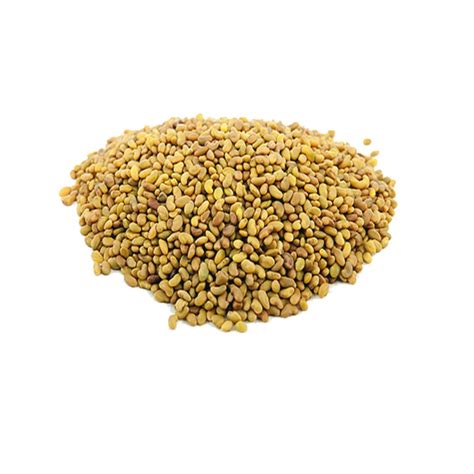 Alfalfa Seed – PJ Agro Seeds