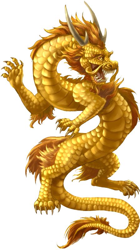 Gold Dragon | Chinese dragon tattoos, Dragon illustration, Chinese dragon drawing