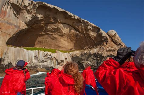 Wilsons Promontory Wildlife Cruise In Melbourne Australia - Klook ...