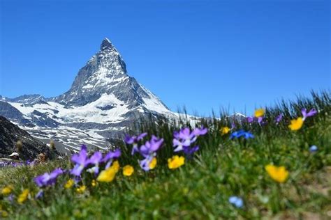 10 Best Swiss Alps Tours & Vacation Packages 2024/2025 - TourRadar