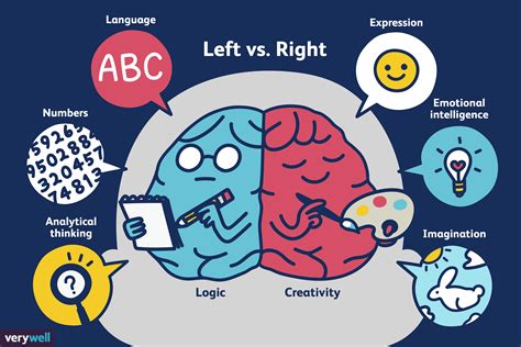 Left Brain vs. Right Brain Dominance: What's the Reality?