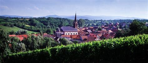 Alsace wine route