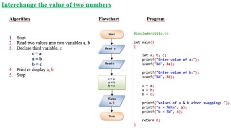 Algorithm Examples