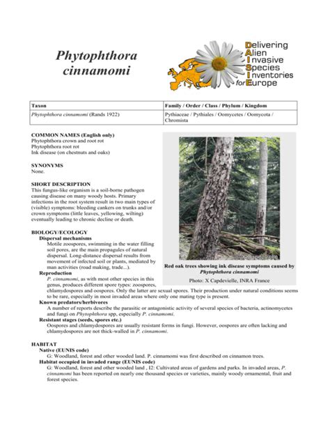 Phytophthora cinnamomi