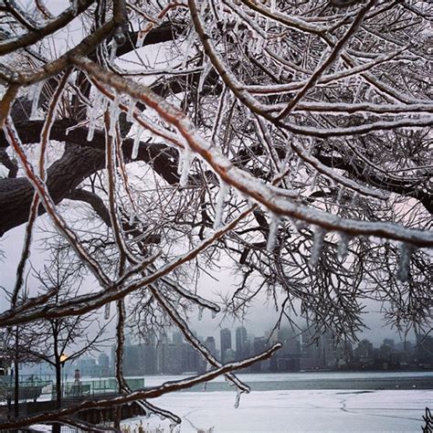 Photos of the 2013 Toronto ice storm