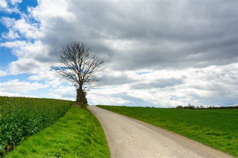 Denmark - countryside stock photo. Image of denmark, cloudy - 91502578