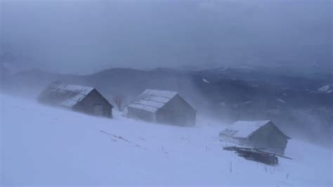 💨 Winter Storm Ambience with Icy Howling Wind Sounds for Sleeping ...