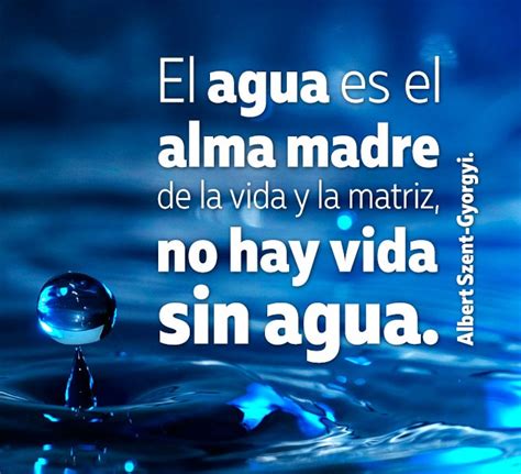 Arriba 96+ Foto Frases Sobre El Cuidado Del Agua (cortas) Lleno