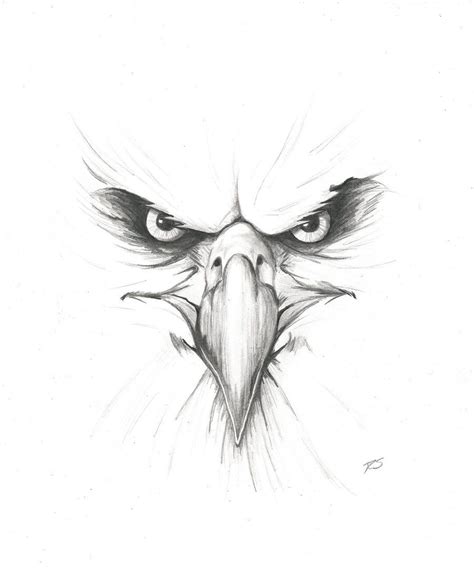 Eagle Drawing at GetDrawings | Free download