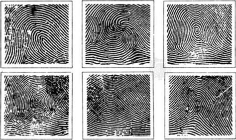 Fingerprinting | Philosophy, Science, and Logic