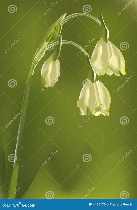 Solitary flower stock vector. Illustration of stylishness - 4461170