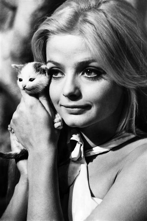 The 50 Most Fabulous (and Famous) Cat Ladies of All Time | Kitten names ...