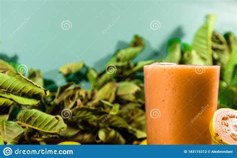 Glass of Guava Juice Psidium Guajava L. between Leaves and Fruits on a Neutral Background Stock ...