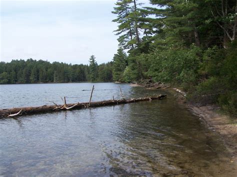 Camping at Polliwog Pond, Aug 13 – Andy Arthur.org