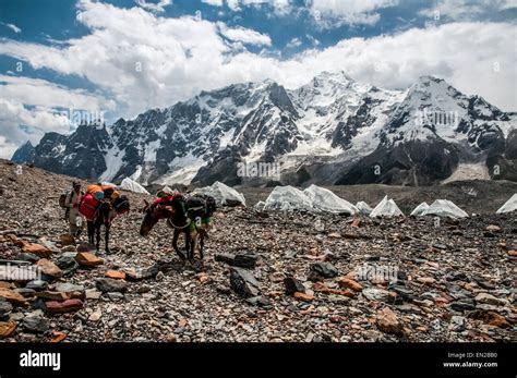 Trekking in the Karakoram Mountains Stock Photo - Alamy