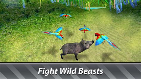 Jungle Parrot Simulator - try wild bird survival! for Android - APK Download