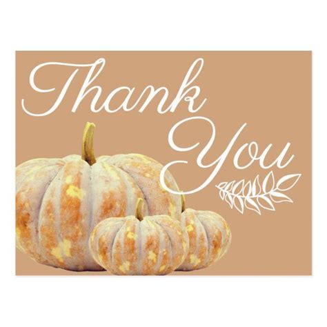 Happy Fall Harvest Pumpkins Thank You Postcard | Zazzle | Fall harvest ...