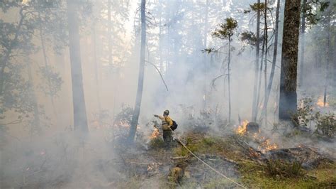 Why the Smith River Complex Fire is burning so quickly: parts of Del Norte County are still in a ...