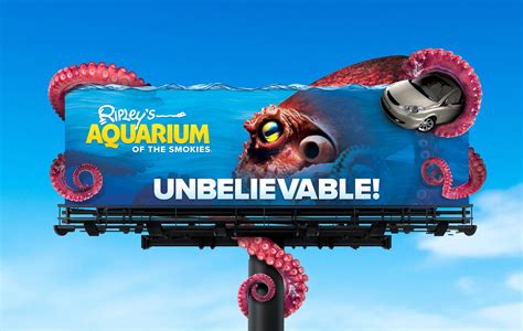 Ripley's Aquarium :: Behance