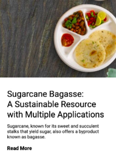 Sugarcane Bagasse: A Sustainable Resource with Multiple Applications ...