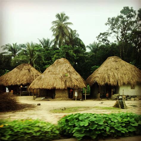 Thatch roof houses in Sierra Leone, West Africa. | Sierra leone, West africa, Africa