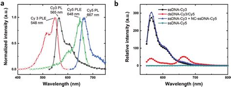 Cy3 and Cy5 as labeling dyes for fluorescence sensing. a) Normalized PL ...