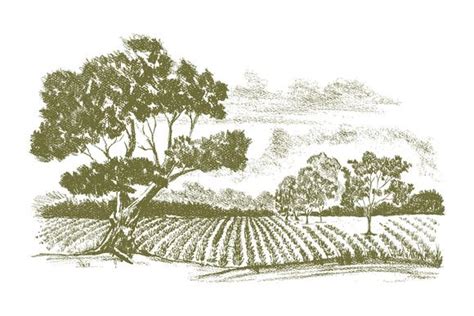 a drawing of a farm field with trees