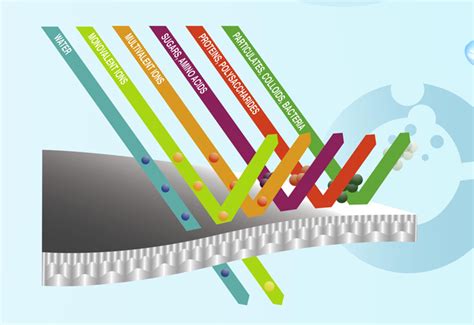 Reverse Osmosis Membrane Manufacturer|RO Membrane Exporter-Osmotech Membrane Pvt. Ltd. Rajkot India